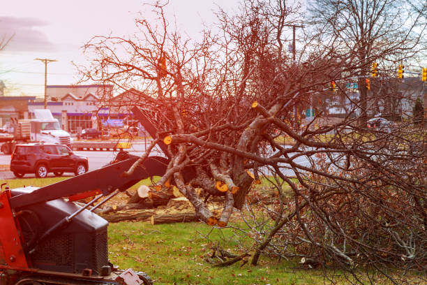 Best Utility Line Clearance  in Irvine, CA
